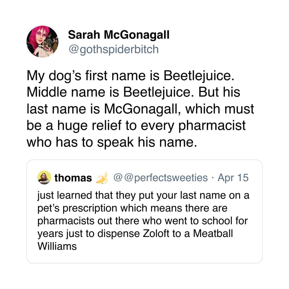 Sarah McGonagall joking about her dog Beetlejuice Beetlejuice McGonagall receiving prescriptions alongside Meatball Williams.