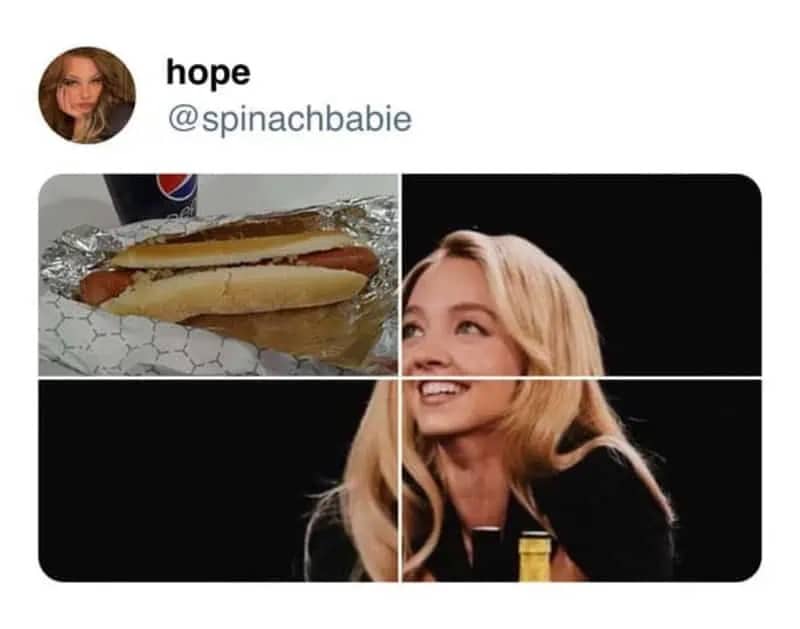 Collage meme comparing a hot dog in foil to actress Sydney Sweeney smiling during an interview.