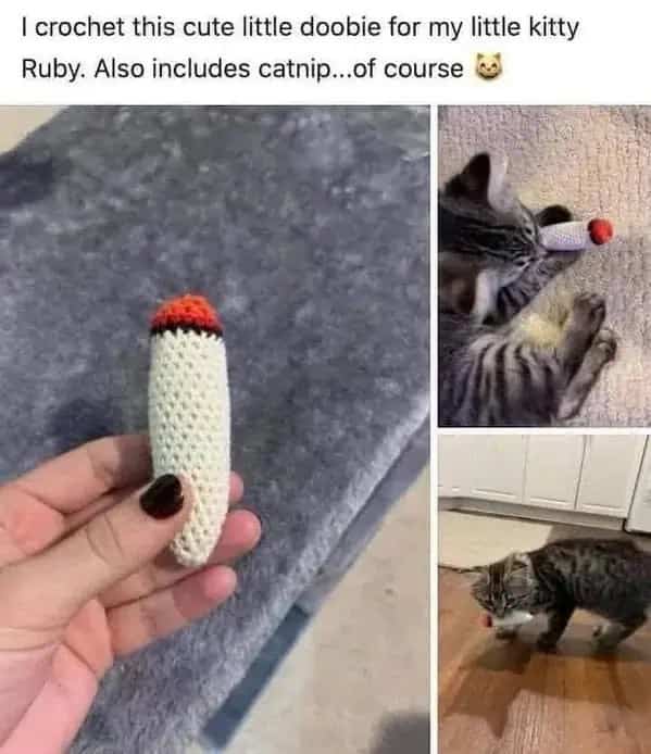 Handmade crocheted catnip toy shaped like a joint for a pet cat named Ruby.