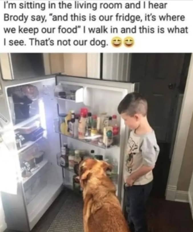A funny photo of a child showing a random dog the contents of an open refrigerator.