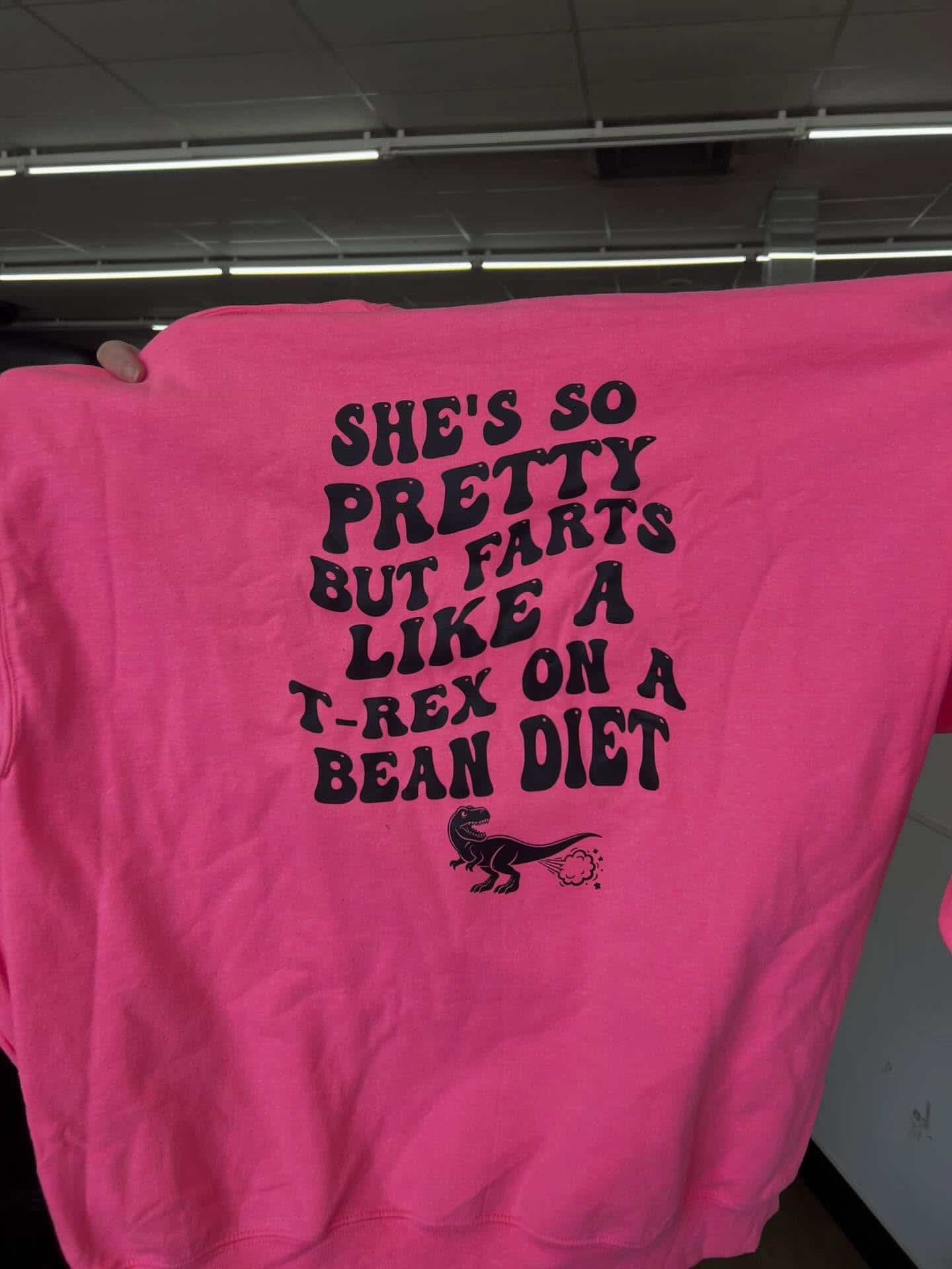 Pink sweatshirt with text saying she farts like a T-Rex on a bean diet with illustration.