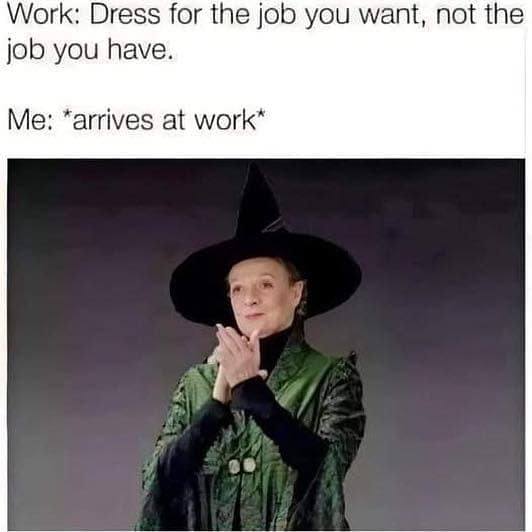 Professor McGonagall in witch robes. Represents dressing for a magical dream job in this classic harry potter meme.