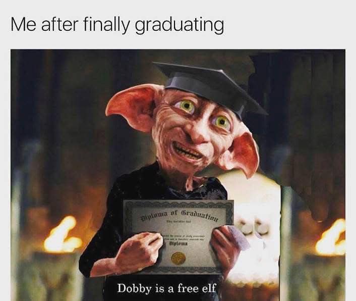 Dobby the house elf smiling while holding a diploma. Humorous reaction image for graduating and finally being free.