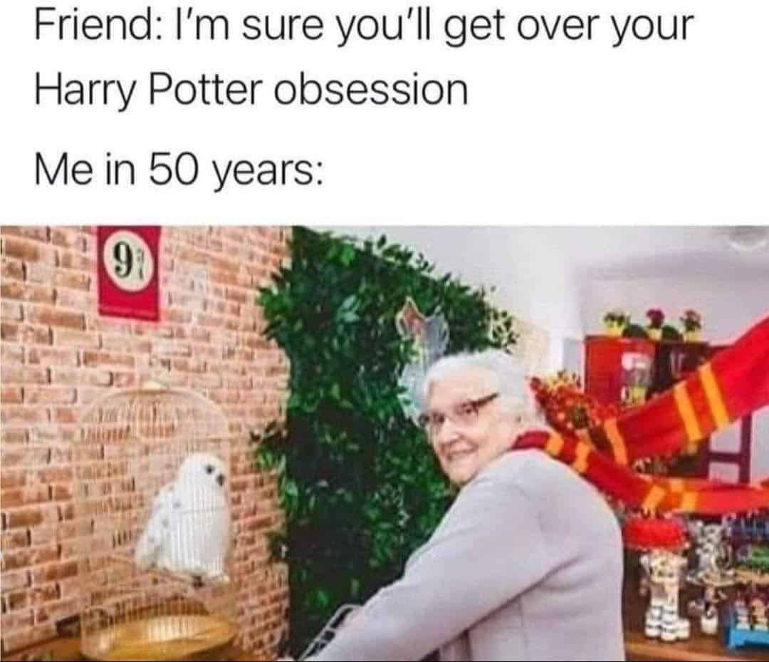 Elderly woman in a Gryffindor scarf pushing an owl on a luggage cart. Jokes about never outgrowing a magical obsession.