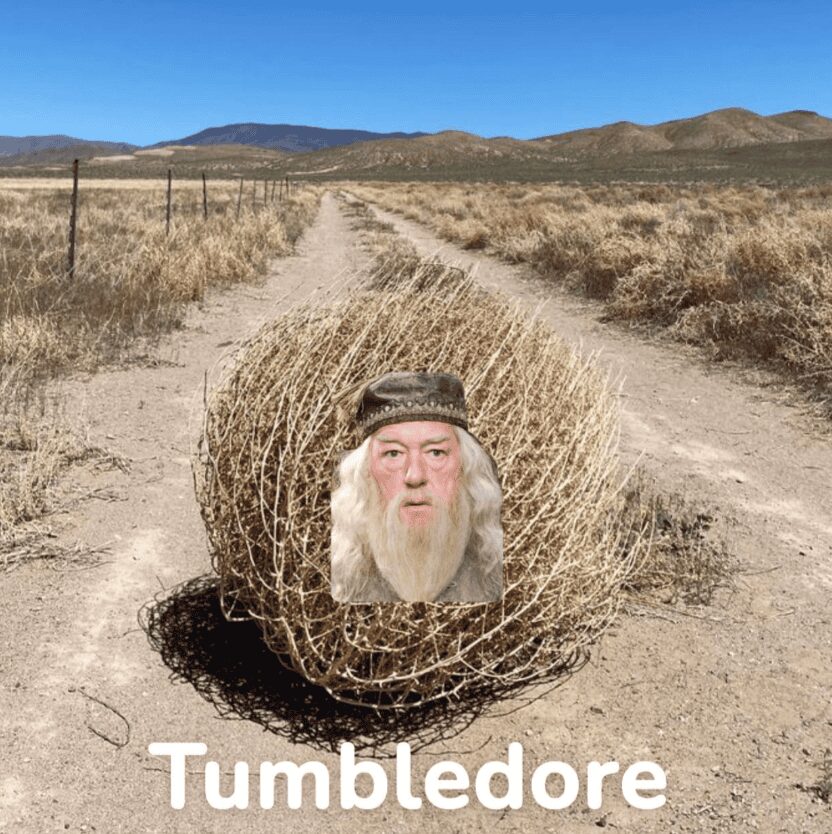A visual pun memes about Harry Potter featuring a tumbleweed with the headmaster's face, simply labeled "Tumbledore."