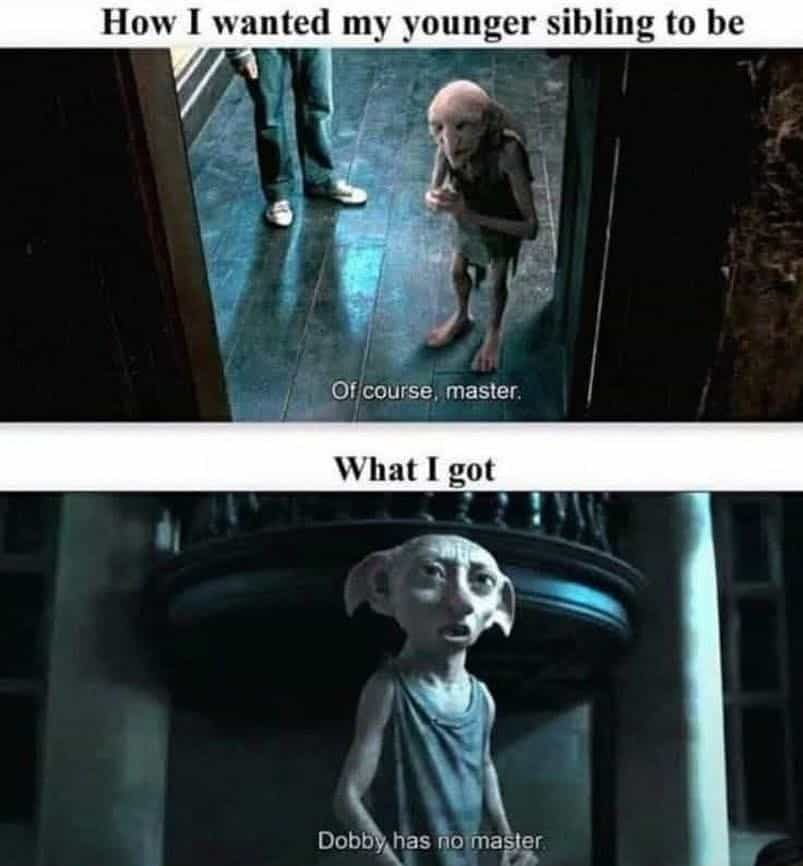 Obedient Kreacher compared to defiant Dobby. Sibling dynamic comparing respectful expectations to chaotic reality.