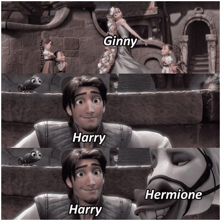 A Disney crossover memes about Harry Potter using Tangled to represent relationships, labeling Rapunzel as Ginny, Flynn as Harry, and the skeptical horse Maximus as Hermione.