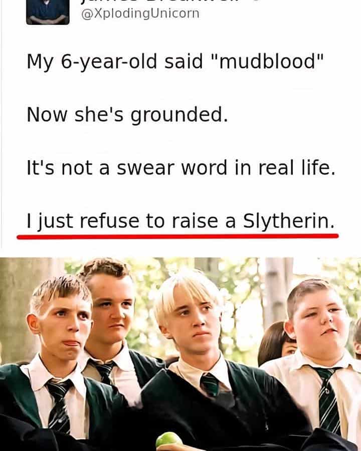 Draco Malfoy looking smug under a tweet. Parent grounds their child for saying mudblood to avoid raising a Slytherin.