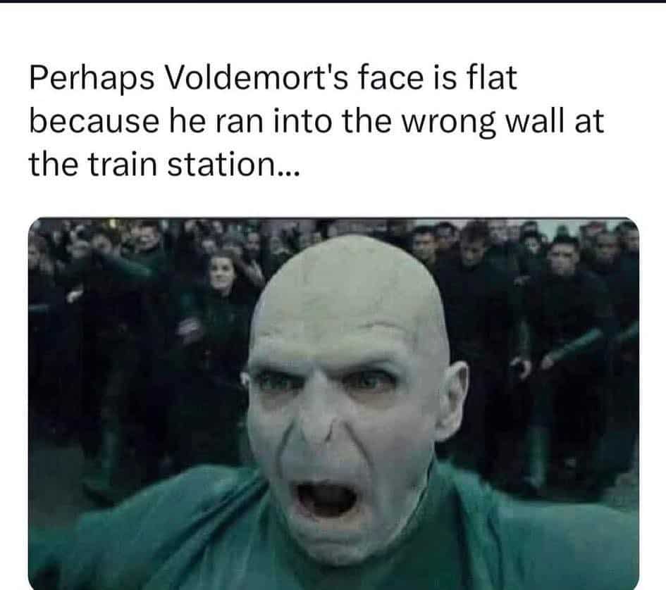 Noseless Voldemort yelling. This funny harry potter meme suggests his flat face is from hitting the wrong train wall.