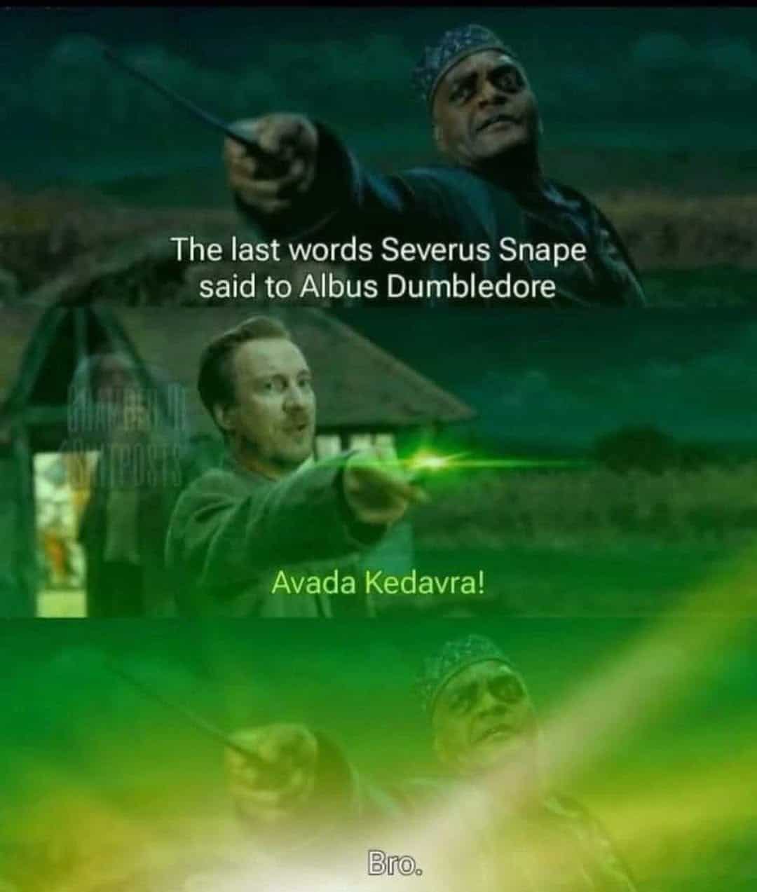 Snape casting the killing curse at Dumbledore who casually replies bro in this funny harry potter meme.
