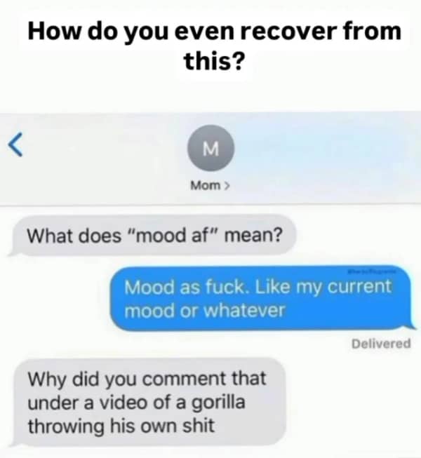 Text exchange between mom and child regarding the meaning of mood af under a gorilla video.