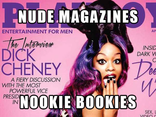 A Playboy magazine cover featuring a woman and a cat with the text "Nookie Bookies."