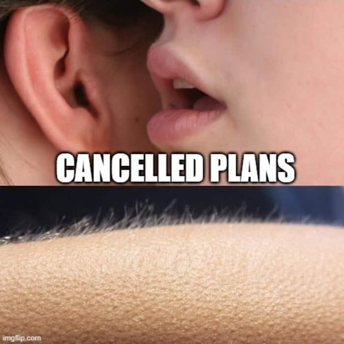 An arousing social anxiety meme format showing someone sensually whispering "CANCELLED PLANS" into an ear, followed by a picture of skin erupting in goosebumps from the sheer thrill of not having to leave the house.