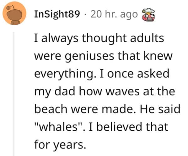 A brilliant instance of funny lies our parents told us on Reddit, where a dad confidently answered his kid's question about how ocean waves are made by simply stating "whales," a lie the child believed for years.