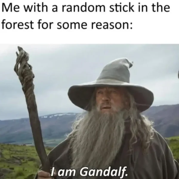 A lotr meme showing Gandalf with his staff, perfectly capturing the feeling of picking up a random stick in the forest and pretending to be a wizard.
