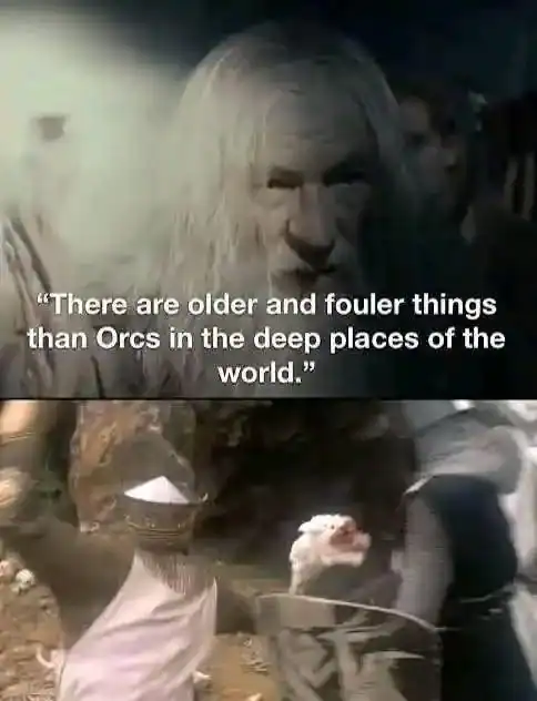 A lotr meme juxtaposing Gandalf's serious quote about ancient things in deep places with a blurry, chaotic image of a person fighting a costumed knight.