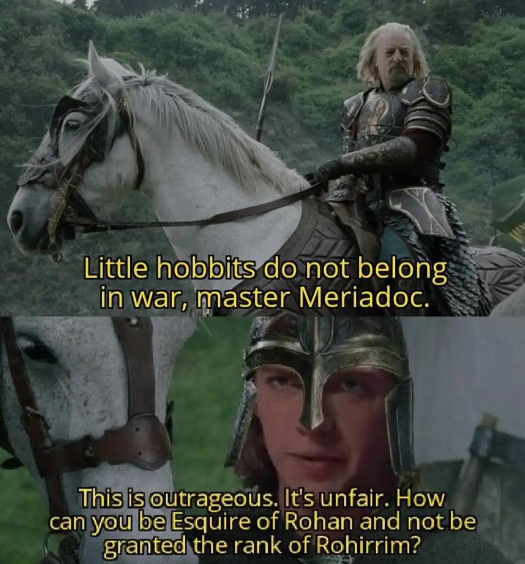 A lotr meme crossover with Star Wars where Anakin Skywalker complains to King Theoden about being an Esquire of Rohan but not granted the rank of Rohirrim.