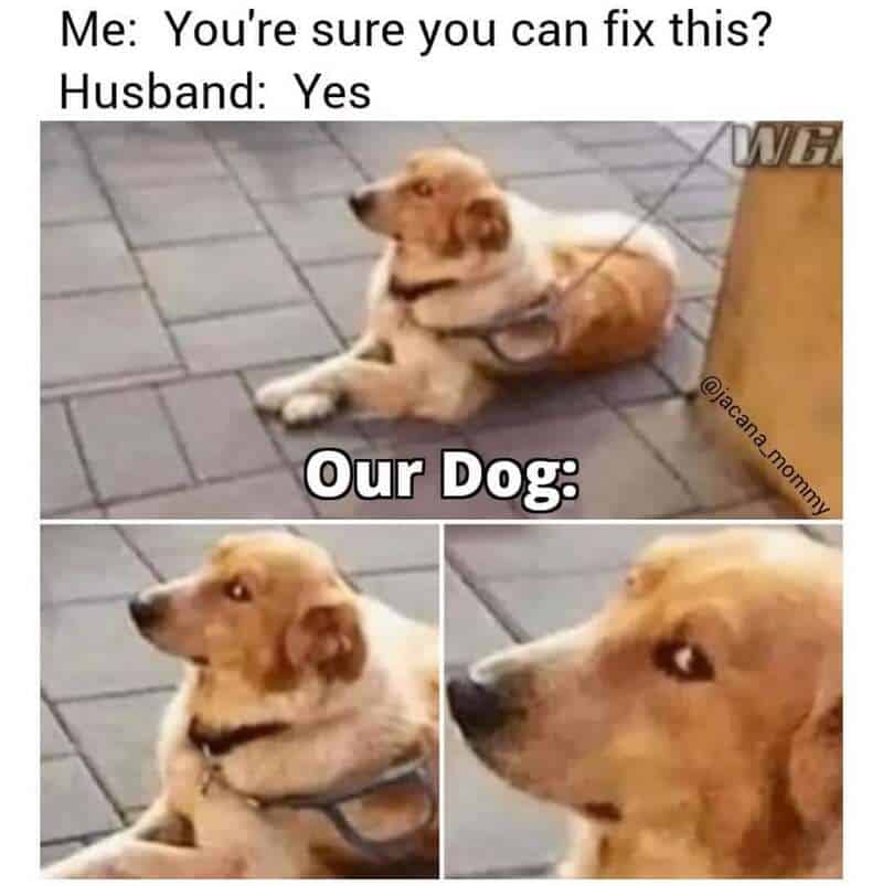 A DIY fail marriage meme showing a dog's head twisted upside down after a husband confidently claimed he could "fix" something.