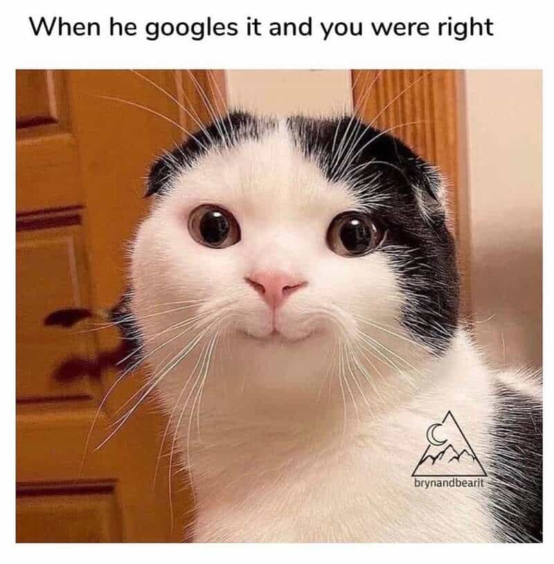 A smug marriage meme featuring a cat with a polite but satisfied expression, capturing the feeling when a husband Googles an argument and realizes his wife was right.
