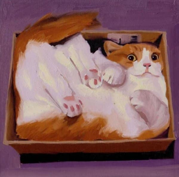 Oil painting of an orange and white cat looking surprised while squeezed tightly inside a small cardboard box