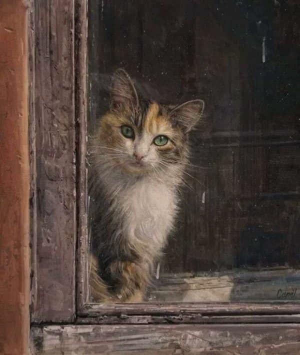 Realistic fine art portrait of a fluffy calico cat staring intently through an old wooden window pane