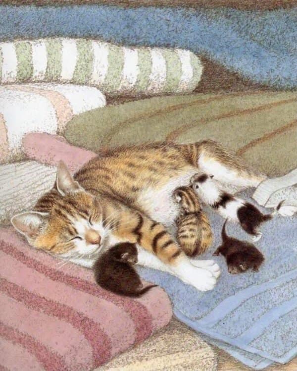 Colored drawing of a tired mother tabby cat peacefully sleeping while nursing three tiny kittens on a folded towel