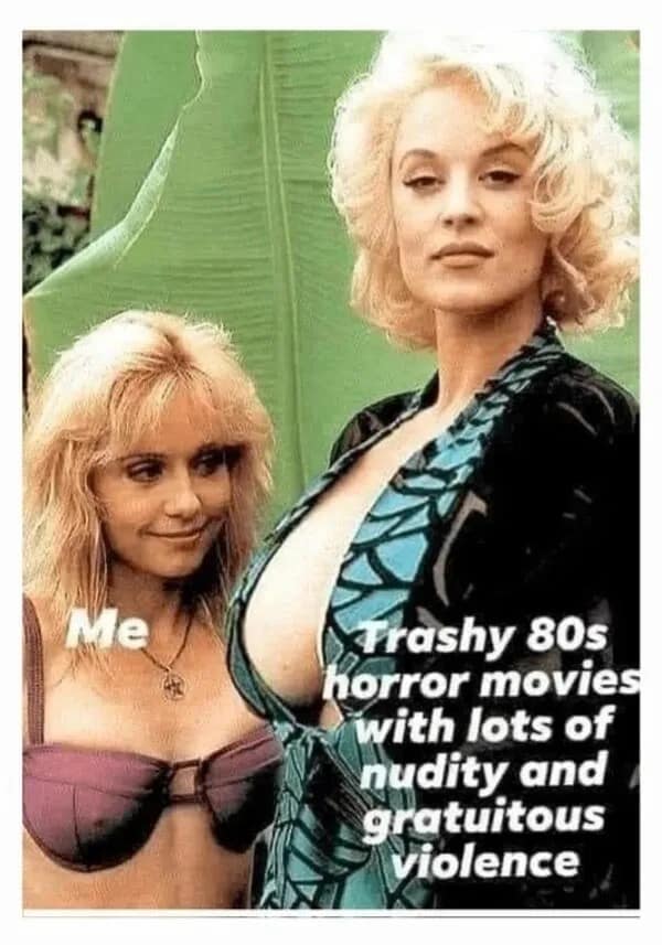 A meme dump comparison showing a wholesome girl labeled "Me" next to the busty Elvira, Mistress of the Dark, labeled as trashy 80s horror movies with gratuitous violence.