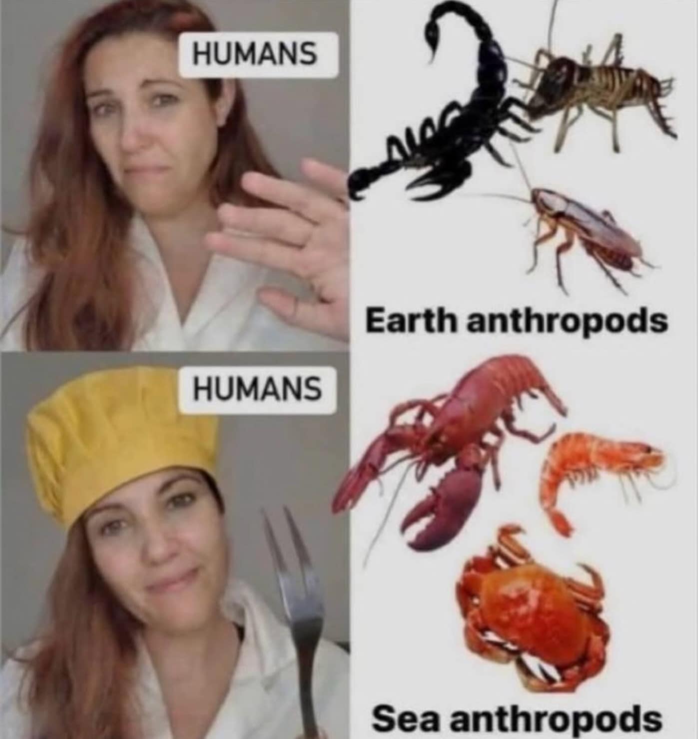 A funny meme chart pointing out the hypocrisy of being disgusted by "Earth arthropods" like roaches but happily eating "Sea arthropods" like lobsters and shrimp.