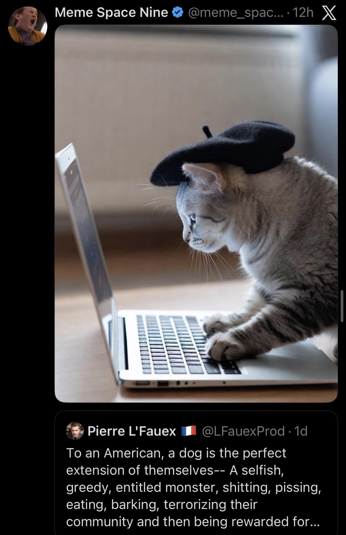 A meme dump featuring a cat in a beret at a laptop, accompanying a tweet arguing that dogs represent American excess while cats represent something else entirely.