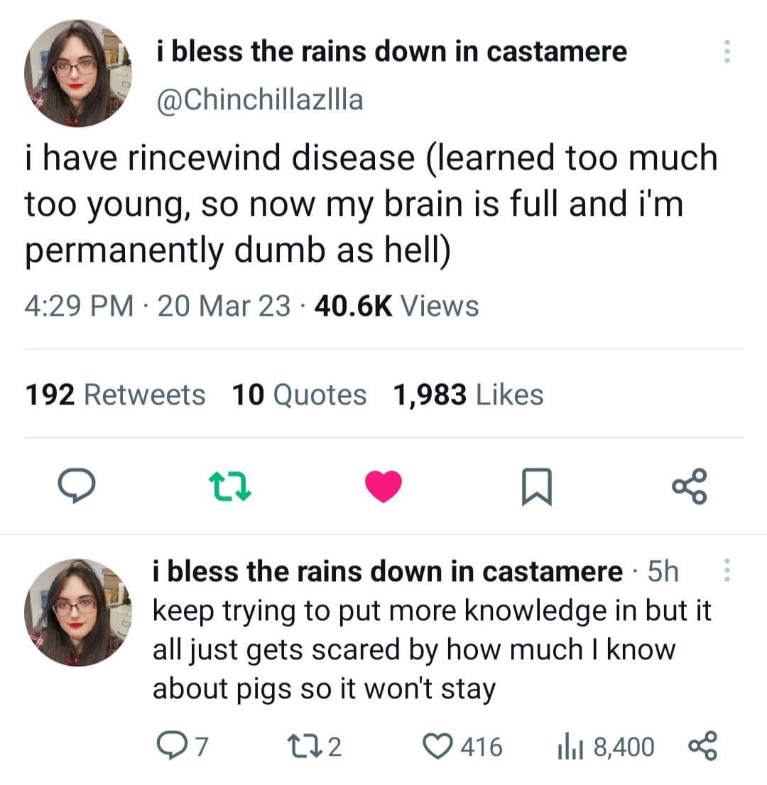 A deeply relatable meme dump tweet diagnosing the user with "Rincewind disease"—having a brain so full of useless childhood knowledge about pigs that they are now "permanently dumb as hell."