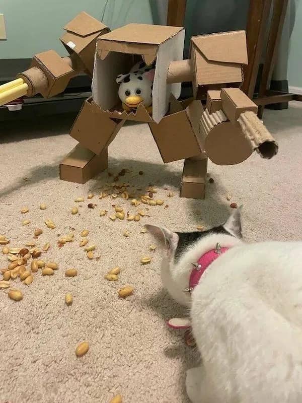 A meme dump battle scene where a cat faces off against a cardboard mech suit piloted by a tiny toy cow amidst scattered peanuts.
