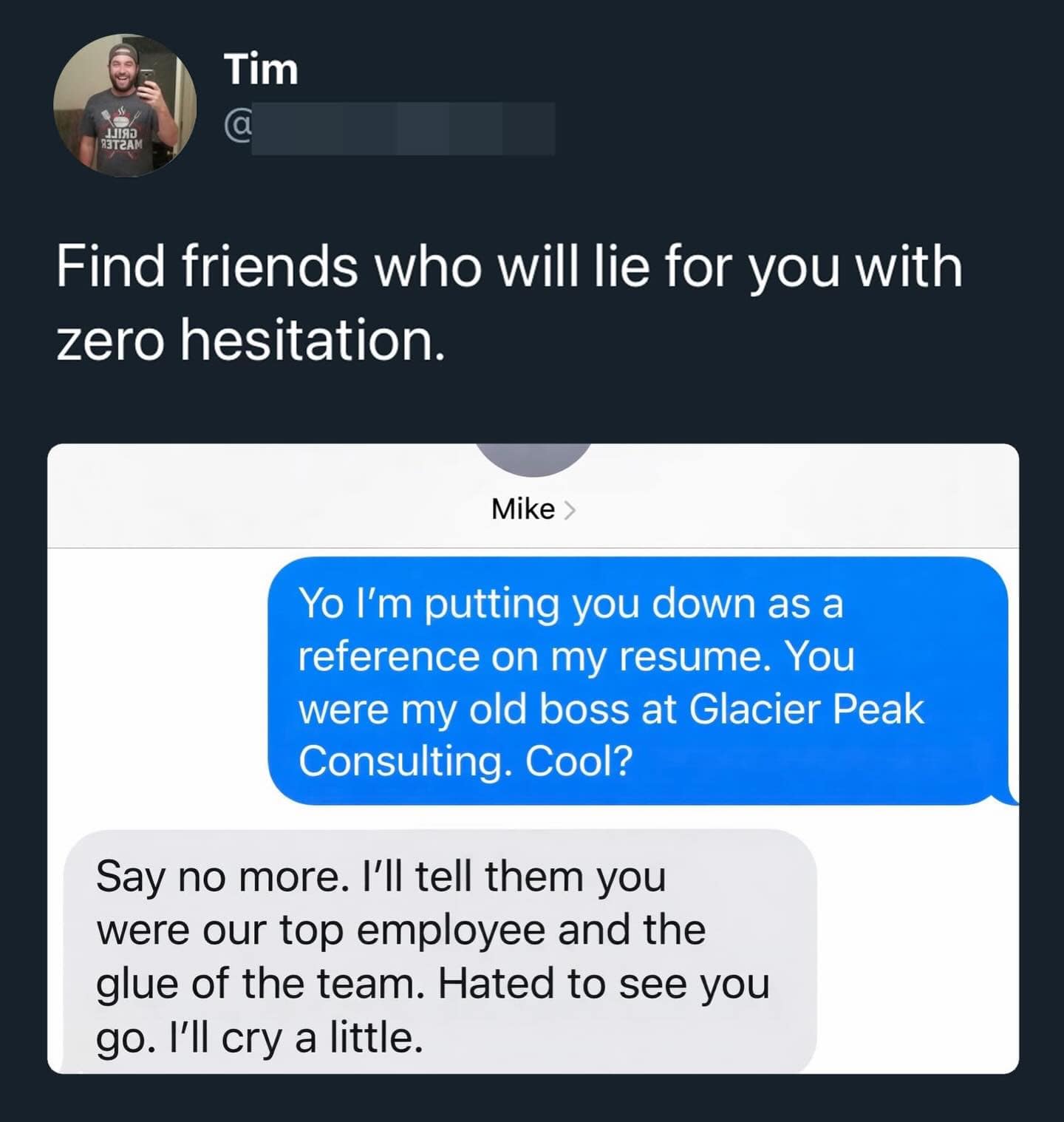 A wholesome funny meme text exchange where a friend immediately agrees to lie as a job reference, promising to say the applicant was the "glue of the team."