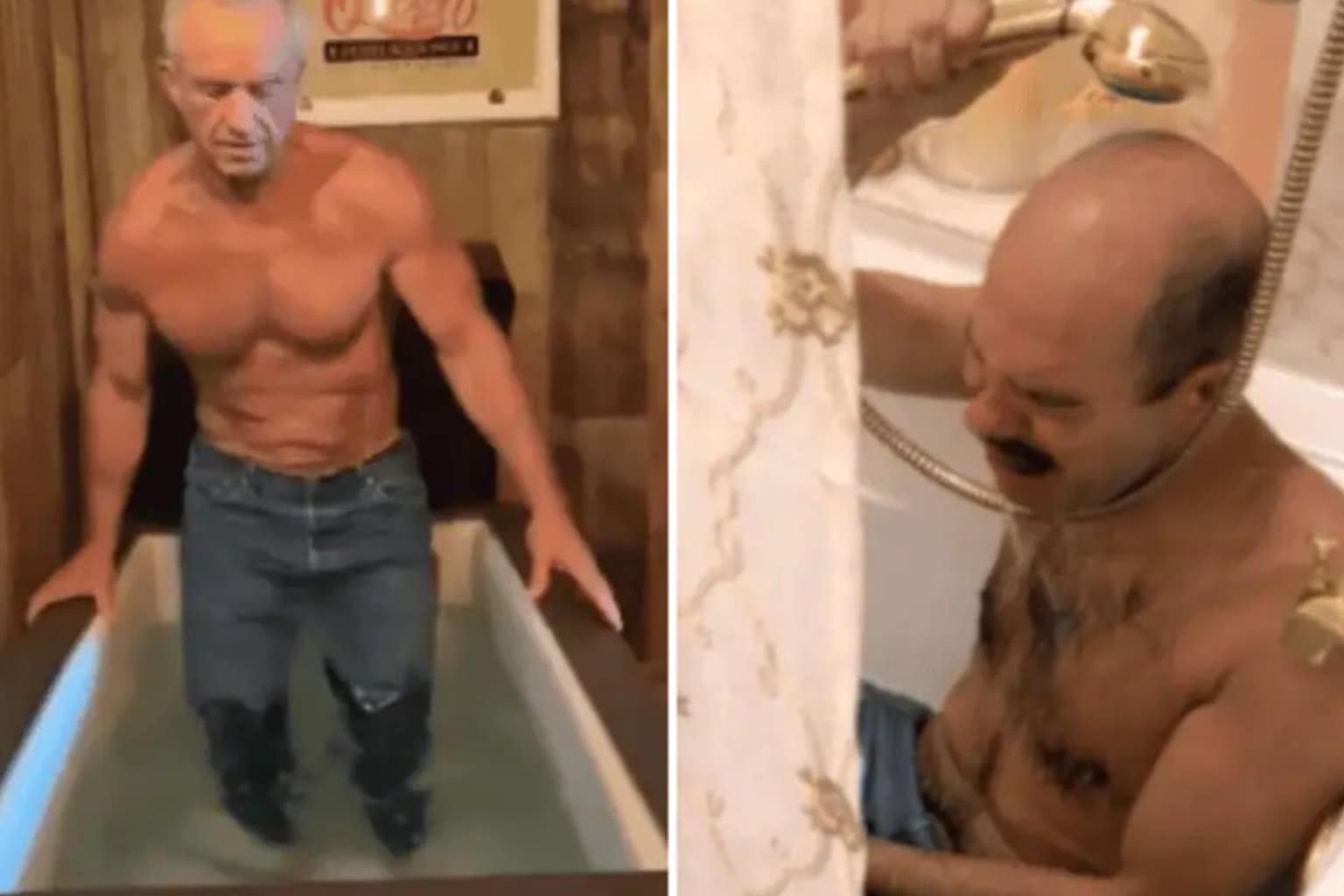 Meme dump compilation: A collage featuring the "2026: Year of the Whores" misprinted horse cake, the hairless dog with googly eyes stuck to its butt, and the article about smart underwear designed to track farts.