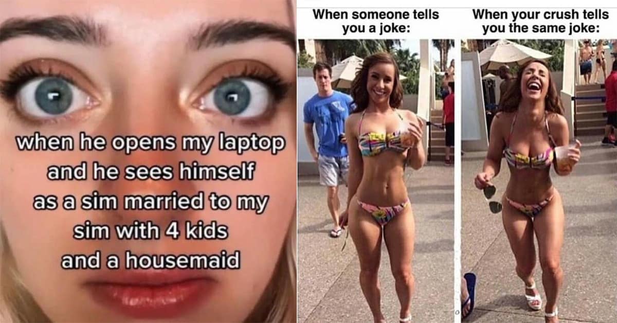 A compilation of funny meme content featuring the "Mushy Straw" crisis, the "Sims Husband" panic, and the "Fluffy Dinosaur" fact.