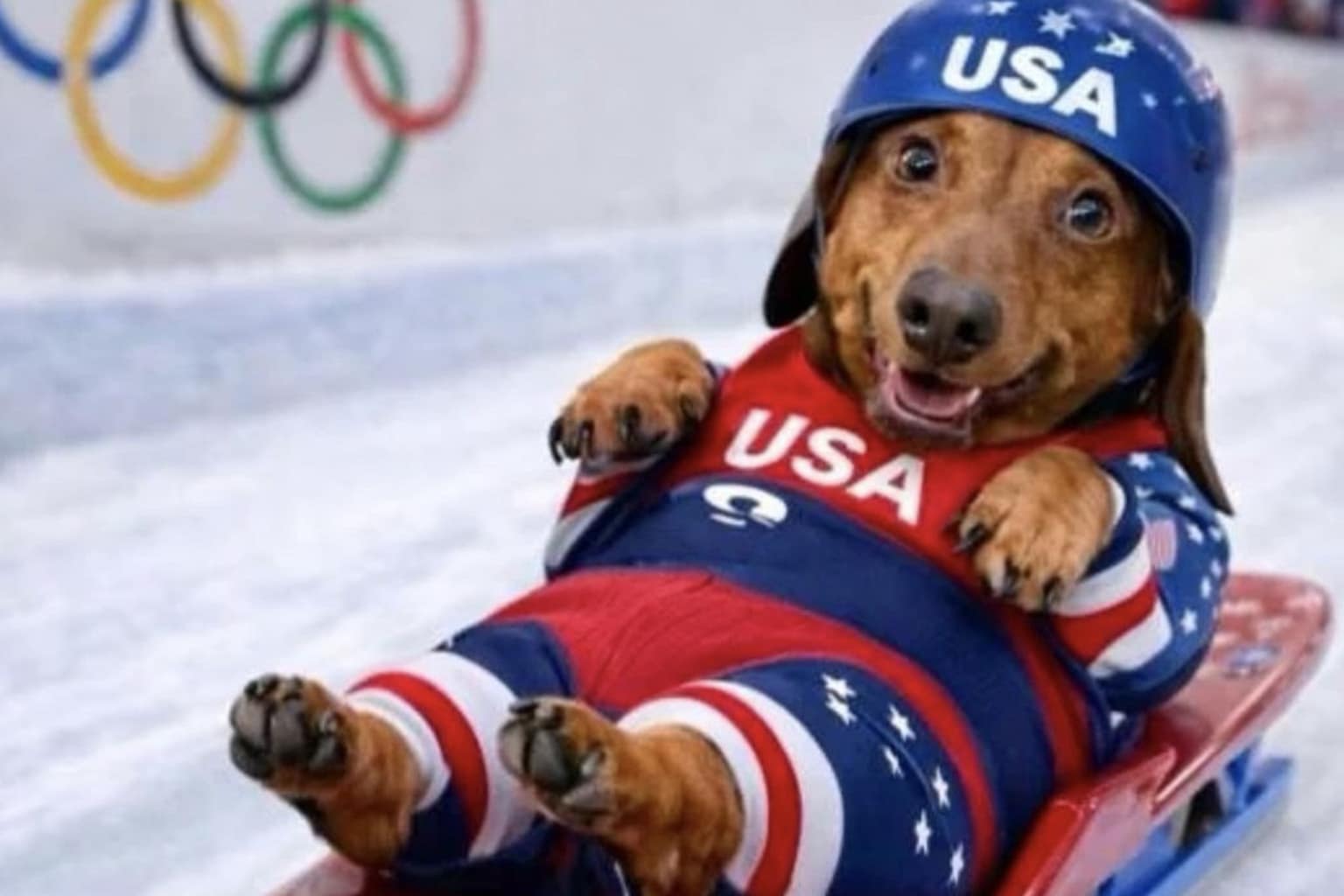 Meme dump compilation: A collage featuring the "Crispy Diet Coke" character, the horse with a bowl cut saying "I'm fine," and the wizard casting the "Connected, no Internet" spell.