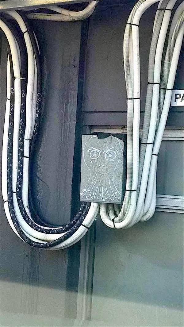 A creative meme dump photo of an electrical conduit box with a chalk drawing that turns the wires into tentacles, making it look like a grey Cthulhu or octopus.