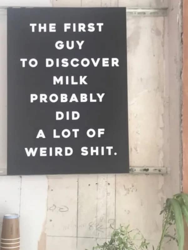 A classic shower thought funny meme found in this meme dump, featuring a black sign on a wall that humorously points out the concerning historical reality: "THE FIRST GUY TO DISCOVER MILK PROBABLY DID A LOT OF WEIRD SH*T".