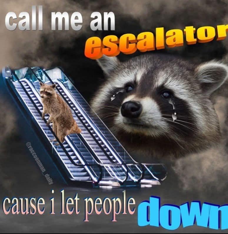 A surreal, 2000s WordArt style funny memes graphic featuring a deeply sad, crying raccoon superimposed over a mall escalator with the tragic text "call me an escalator cause i let people down".
