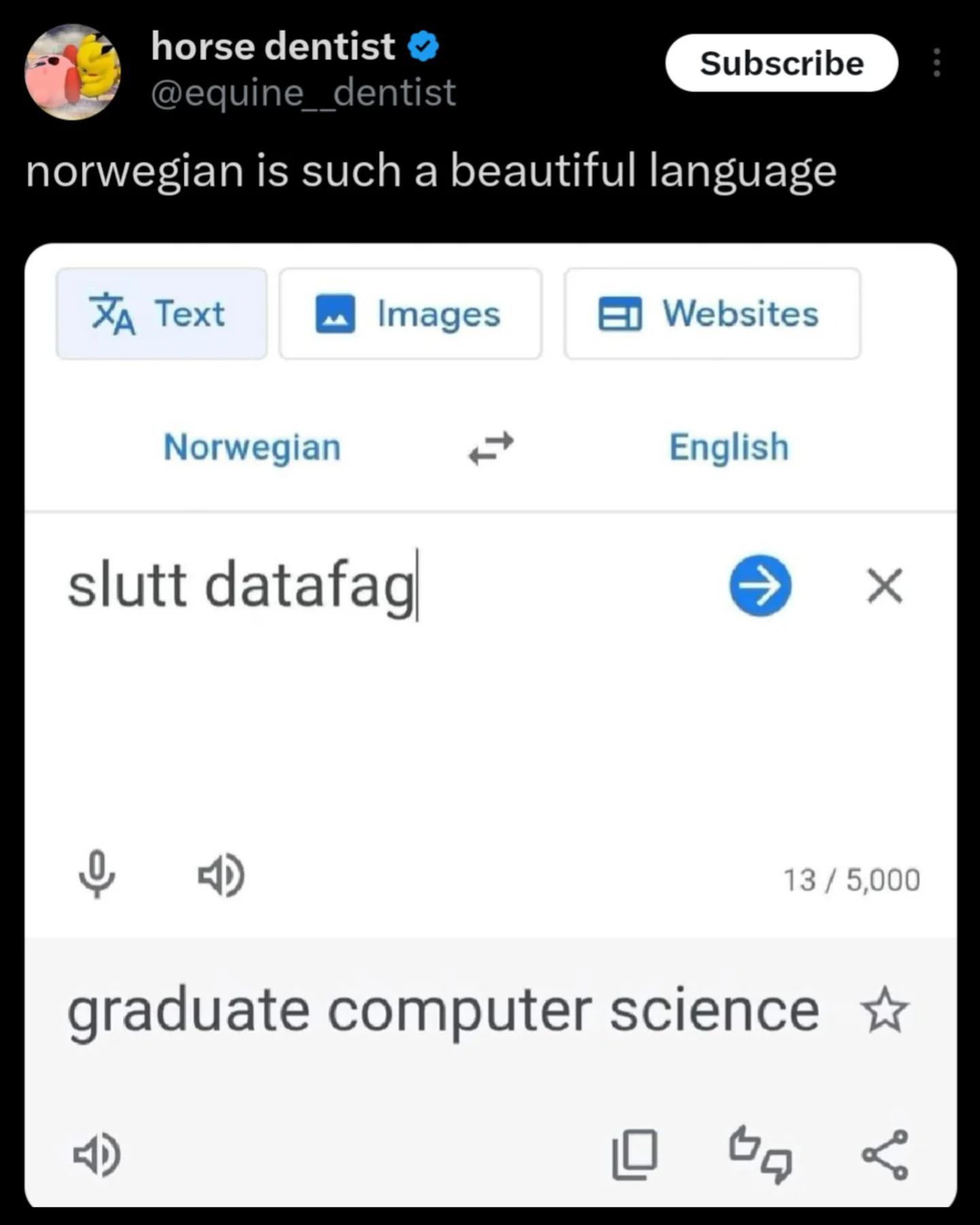 Funny meme tweet: Google Translate showing Norwegian words "slutt data***" translate to "graduate computer science" in English.