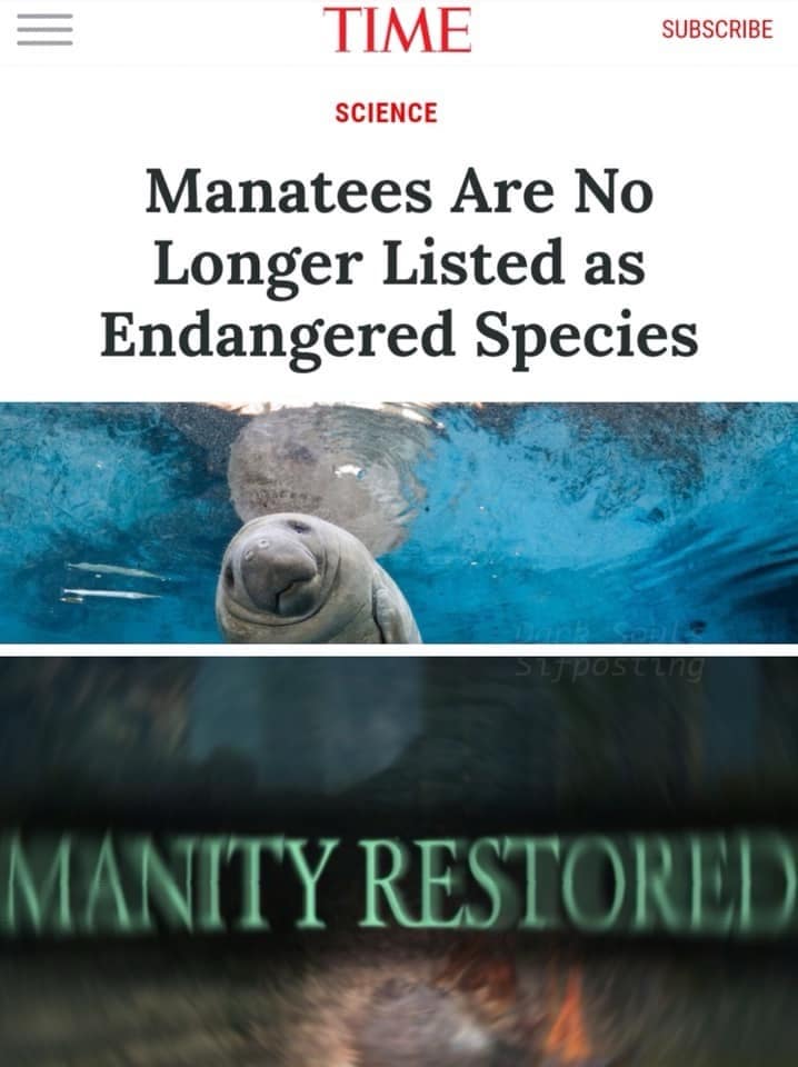 Wholesome funny meme: Time Magazine headline about Manatees no longer being endangered paired with a Dark Souls "MANITY RESTORED" graphic.