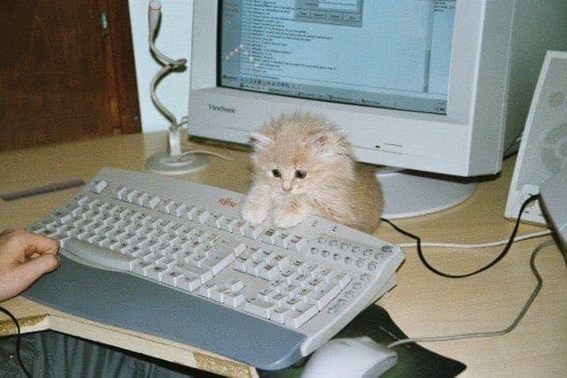 Tiny orange kitten resting its paws on a large vintage grey mechanical computer keyboard.