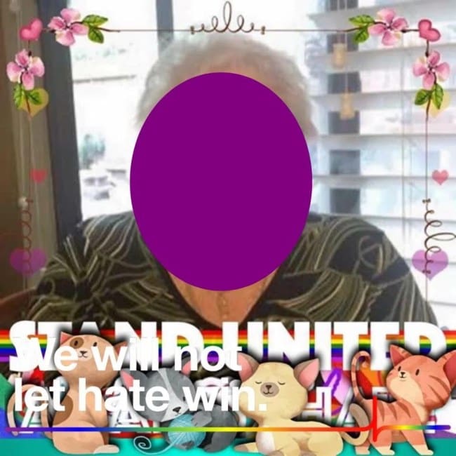 Senior woman's Facebook profile picture frame featuring rainbow "Stand United" text and cartoon cats.