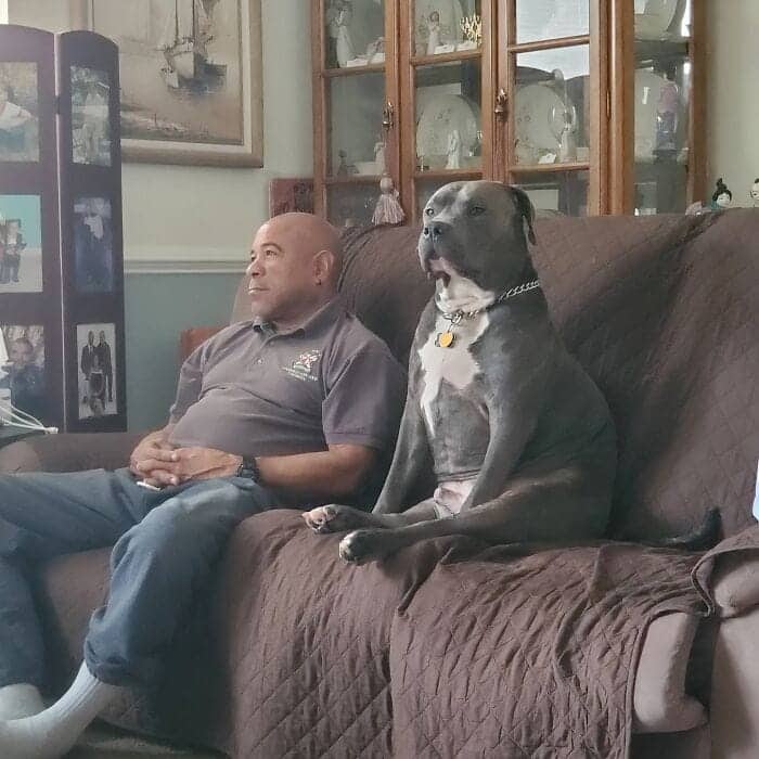 A man and his grey pitbull sitting upright on a couch with nearly identical stoic postures.