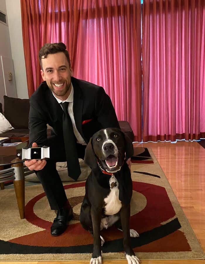 A man in a suit holding a ring box next to a dog wearing a matching tie.