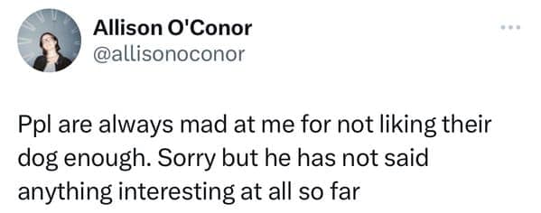 Tweet by Allison O'Conor explaining she doesn't like dogs because they haven't said anything interesting yet.