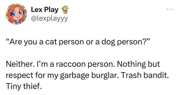 Funny pet meme tweet rejecting both cats and dogs in favor of being a "raccoon person" who respects the "garbage burglar".