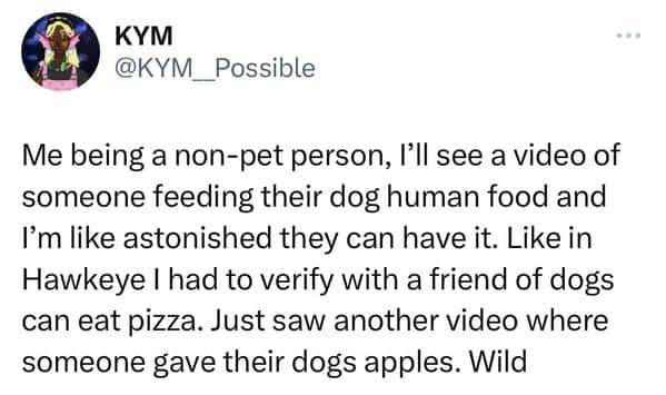 Non-pet person's tweet expressing sheer astonishment that dogs can eat human food like pizza and apples, referencing the show Hawkeye.