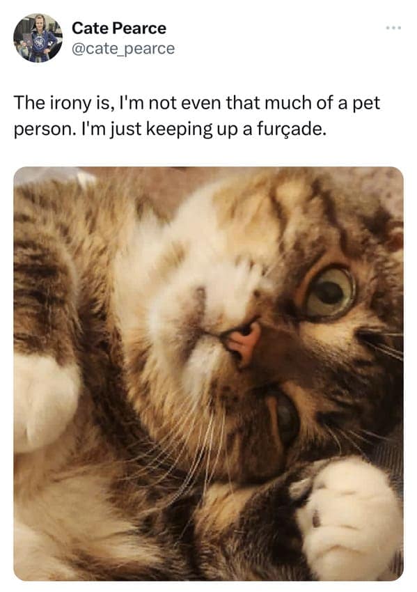 Funny pet tweets featuring a picture of an upside-down cat with a pun caption about keeping up a "furçade" instead of being a real pet person.