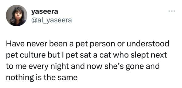 Relatable pet meme where a non-animal person admits that pet-sitting a cat who slept next to them completely changed their life.