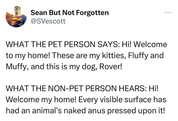 Funny pet tweets showing how non-pet people view homes as just surfaces touched by naked animal anuses.